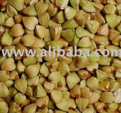 buckwheat for export