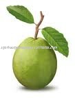 Spray Dried Guava Powder