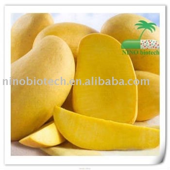 Natural Mango Juice Powder