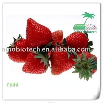 Strawberry Juice Powder