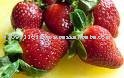 STRAWBERRY Fruit  POWDER