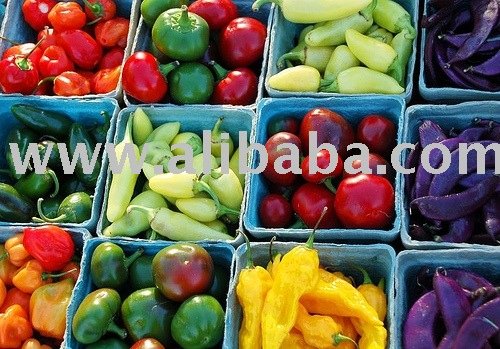 Fruits Concentrate