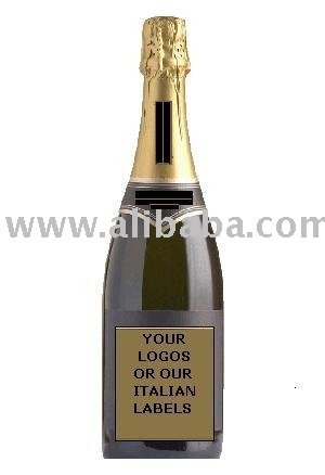 Merlot Italian Wine