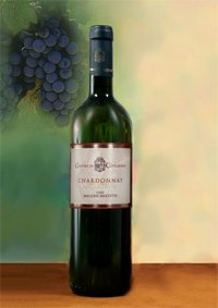 Chardonnay Puglia I. G. T.