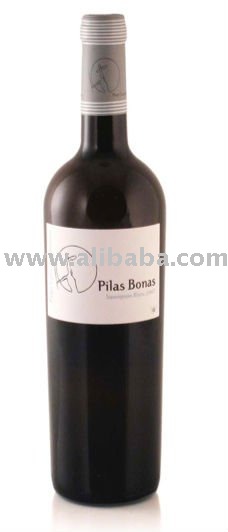 Pilas Bonas Sauvignon Blanc 2009 Wine