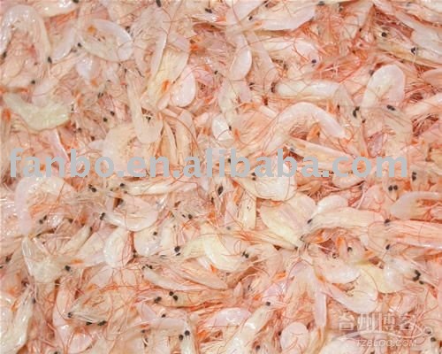 Uncooked White Dried Small Shrimp