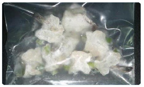 Frozen Powdered White Shrimp