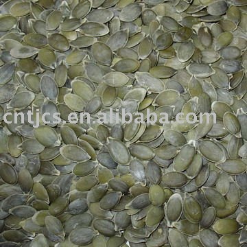 New  Crop Chinese Pumpkin  Kernels AA