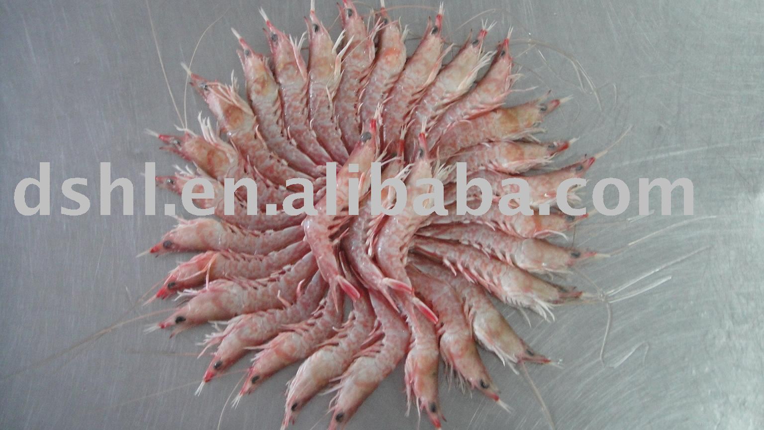 pink shrimp