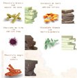 Handmade Chocolate
