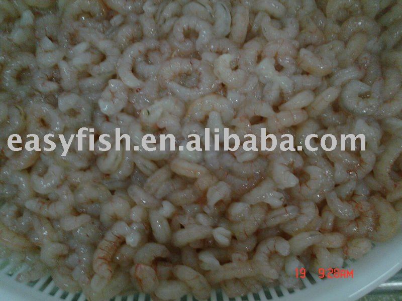 PINK PUD SHRIMP