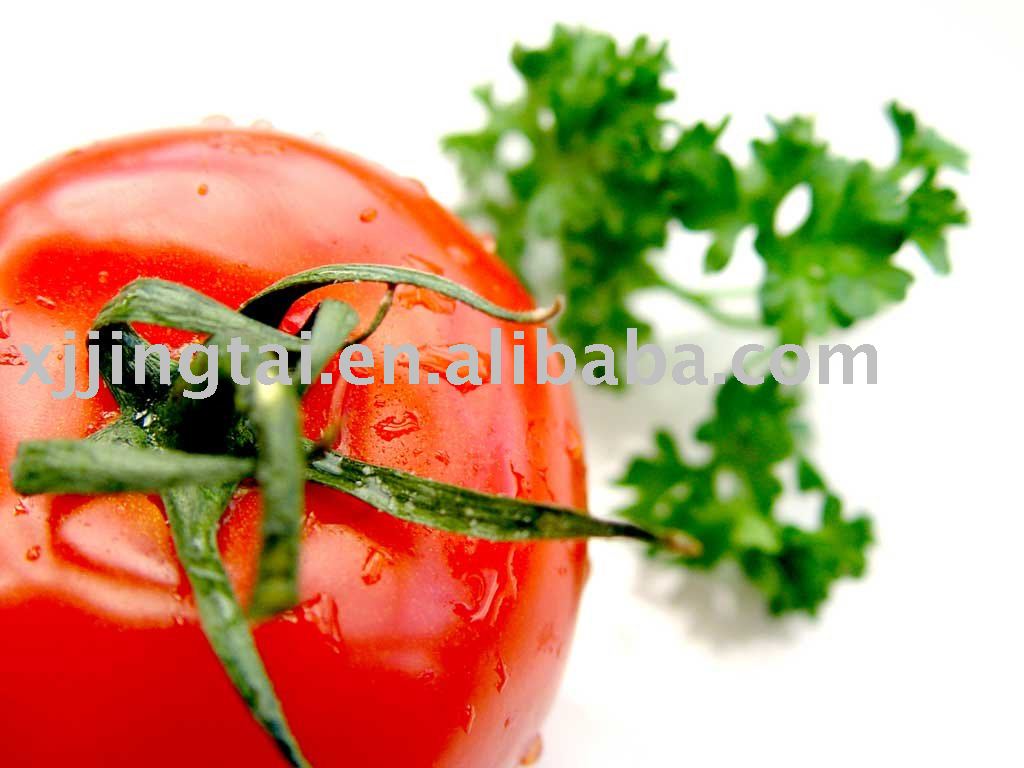 tomato paste 28-30% HB