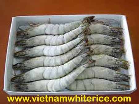 Frozen HLSO Black Tiger shrimp