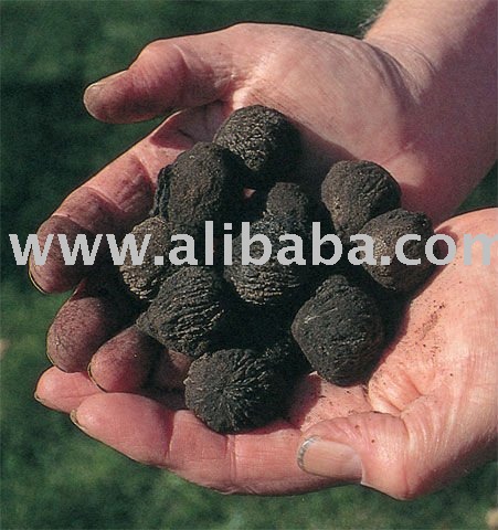 walnuts now available for sale