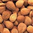 APRICOT KERNEL