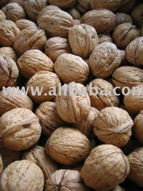 WALNUTS