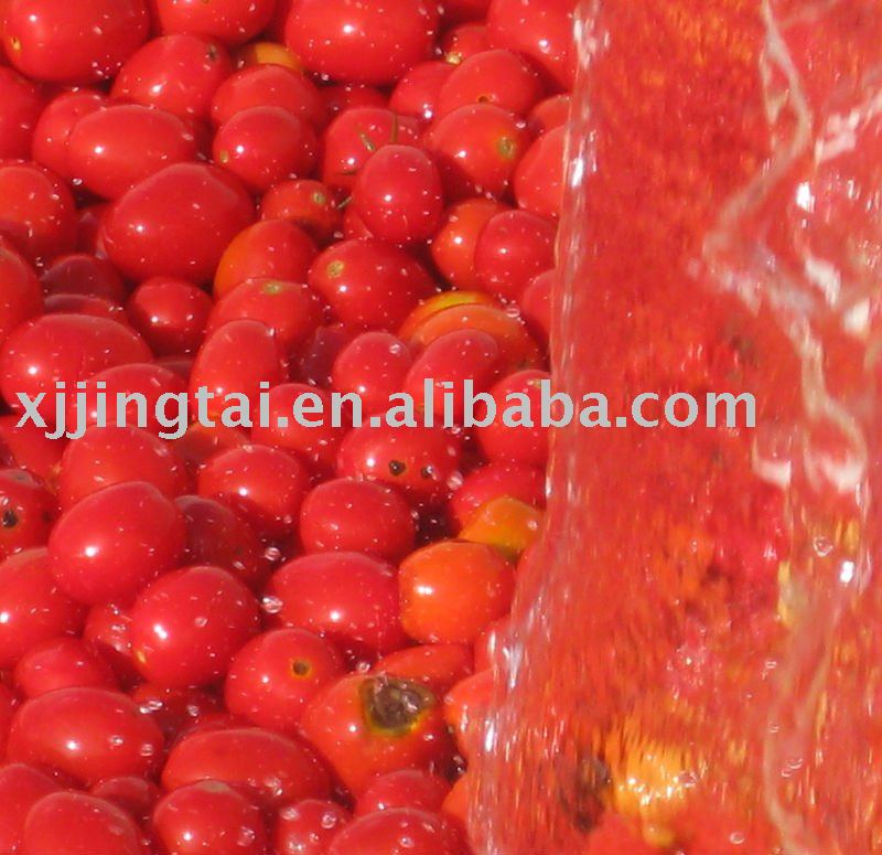 Aseptic Tomato Paste 30-32% Hot Break in drum, Hot Break 30-32% tomato paste, 30-32% HB tomato paste
