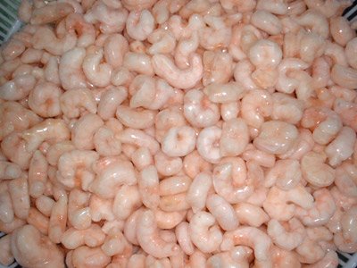 supply Red Shrimp 1