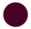 Plum Puree Concentrate
