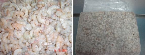 FROZEN SHRIMPS (Red/Sand, Cat Tiger, Brown, Yellow, Pink Shrimps)