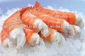 COOKED HLSO BLACK TIGER