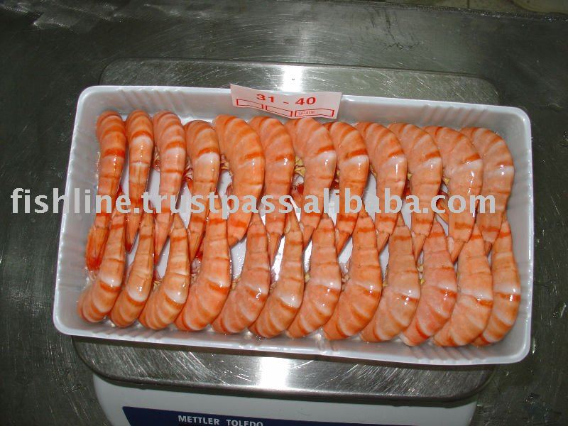 COOKED BLACK TIGER SHRIMP HLSO IN TRAY 31-40