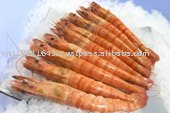 COOKED BDTO BLACK TIGER