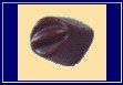 EXOTICA PRALINE chocolate