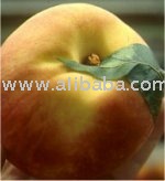 Sell Apple Puree * Peach Puree* Apricot Puree