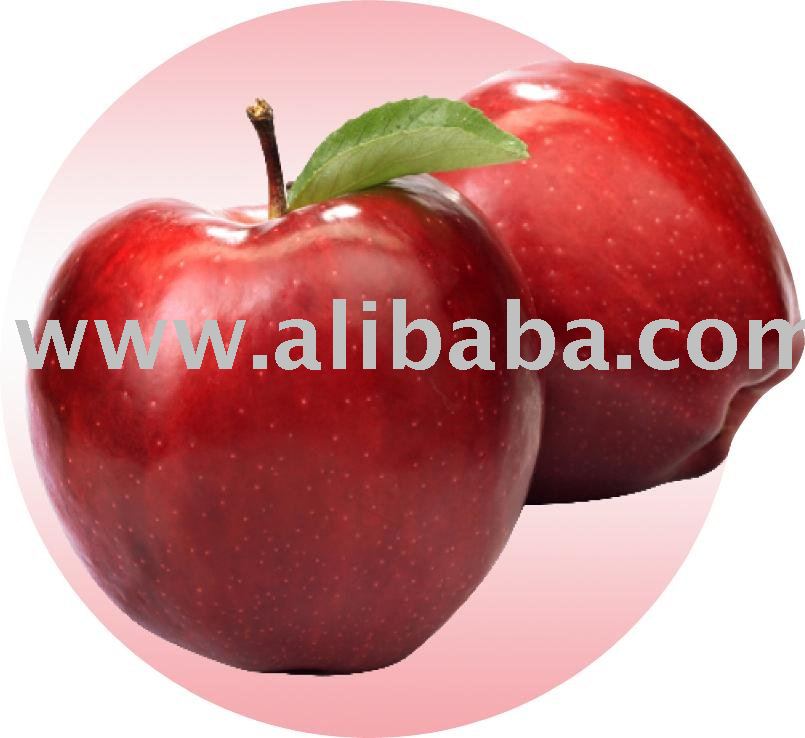 Apple Puree (10-14 Brix)