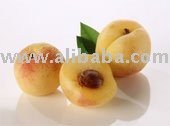 Supply Apricot Puree Concentrate