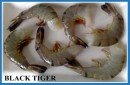 FROZEN BLACK TIGER SHRIMP HLSO