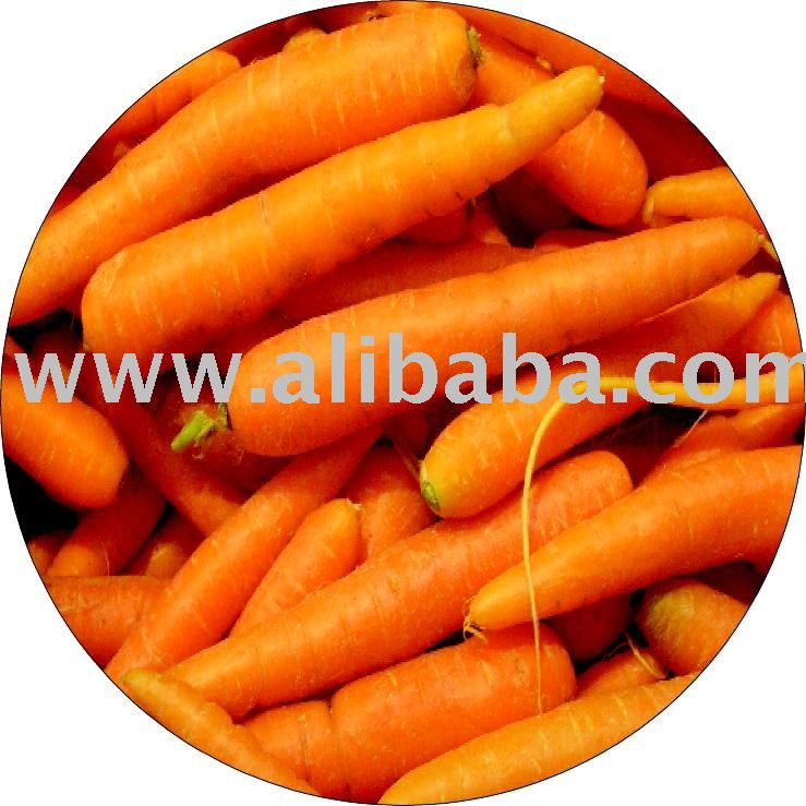 Carrot Puree (5-7Bx)