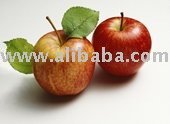 Apple Juice Concentrate / Apple Puree