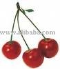 Sourcherry Juice Concentrate