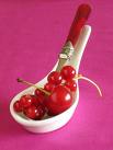 Fruit juice puree