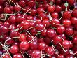 sour cherry juice