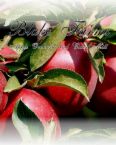 Apple puree and fruit juice concentrate