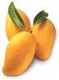 mango puree