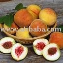 Peach Puree Concentrate