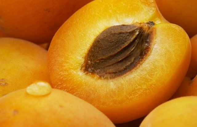apricot puree & concentrate