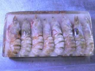Flower Prawn