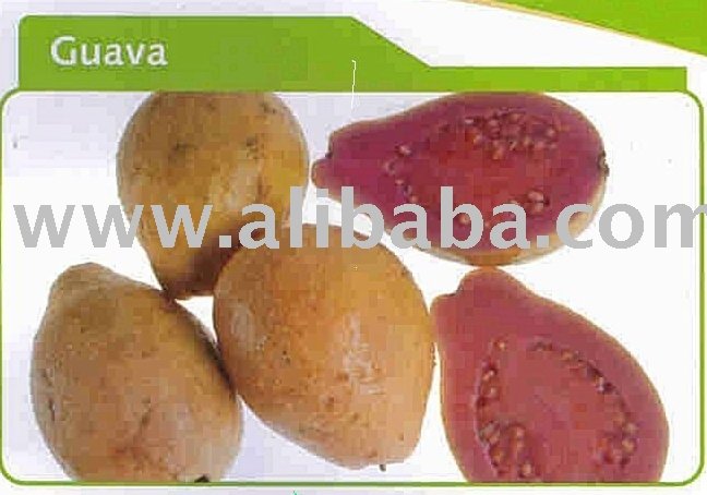 Pink Guava Frozen Fruit Puree