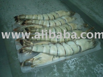 FROZEN BLACK TIGER (PRAWN) FROM VIETNAM
