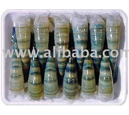 Sell Hose Black Shirmp Best Price from Vietnam