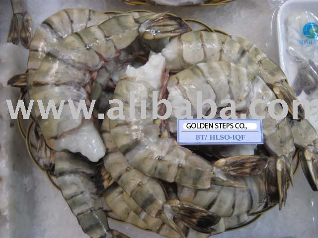  RAW  HEAD-LESS , SHELL-ON BLACK TIGER  SHRIMP 