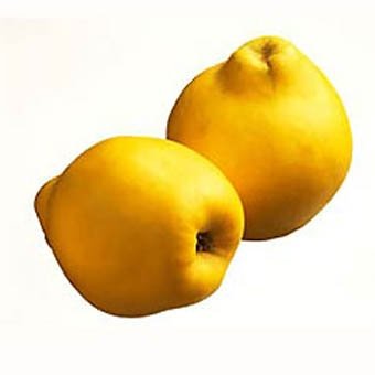 Quince Puree and Concentrate Puree