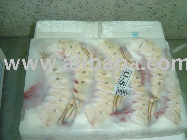 SHRIMPS OCEAN