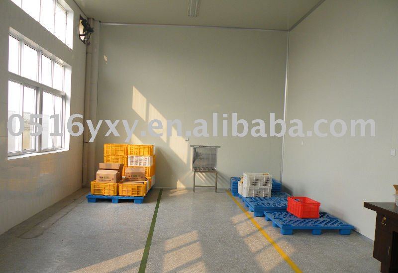 ginkgo biloba nuts