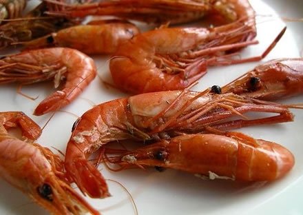 Shrimps